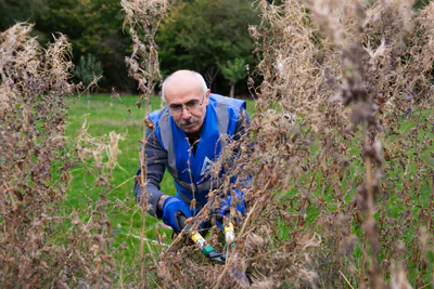 Эффективные методы подготовки огорода к засушливому лету