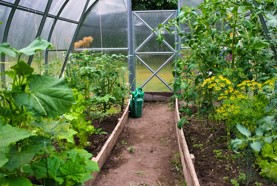 Как выбрать оптимальное место для грядок на участке